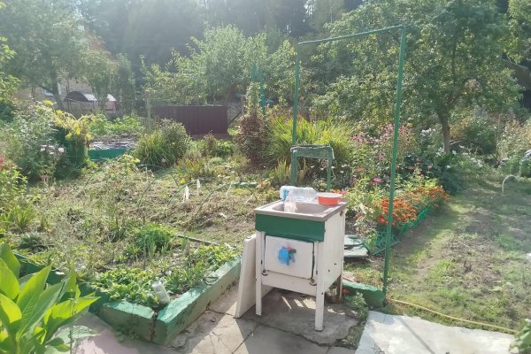 Продается дача с/т. Сосны-Сад - фото 10