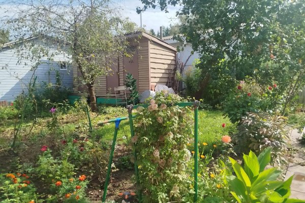 Продается дача с/т. Сосны-Сад - фото 9