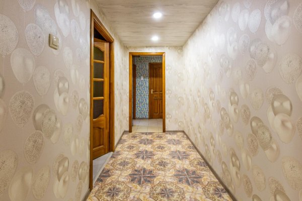 3-комнатная квартира по адресу Городецкая ул., д. 66 - фото 19