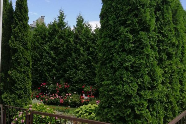 Продается коттедж г. Минск, Ваньковича ул., д. 14 - фото 8