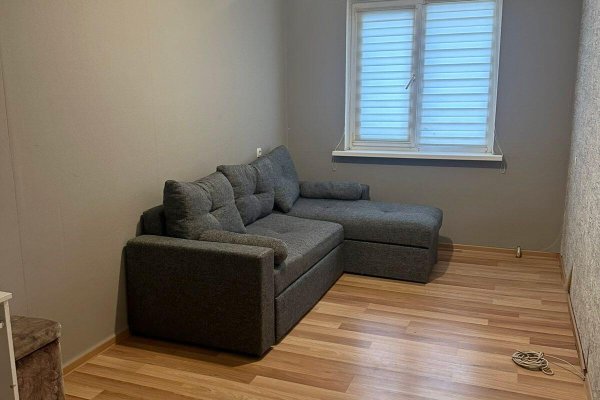 2-комнатная квартира по адресу Рокоссовского просп., д. 121 - фото 3