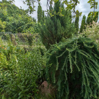 Фотография Продается дача с/т. Горошки - фото 5