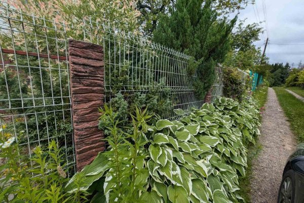 Продается дача с/т. Горошки - фото 9