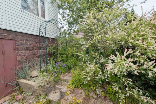 Продается дача с/т. Горошки - фото 4