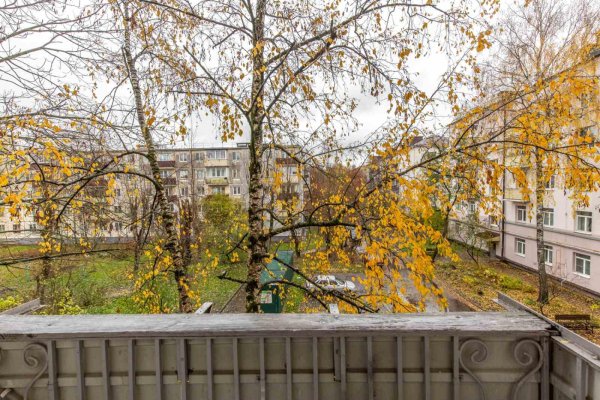 3-комнатная квартира по адресу Долгобродская ул., д. 11 - фото 8