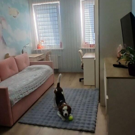 Фотография 3-комнатная квартира по адресу Жуковского ул., д. 16 - фото 11