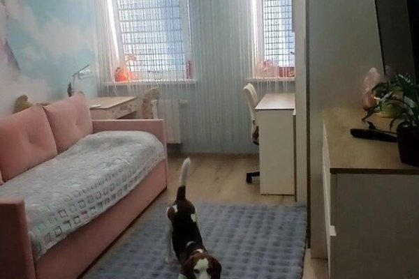 3-комнатная квартира по адресу Жуковского ул., д. 16 - фото 11