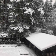 Фотография Продается дом д. Боровляны - фото 2