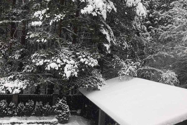 Продается дом д. Боровляны - фото 2