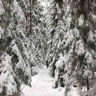 Фотография Продается дом д. Боровляны - фото 4