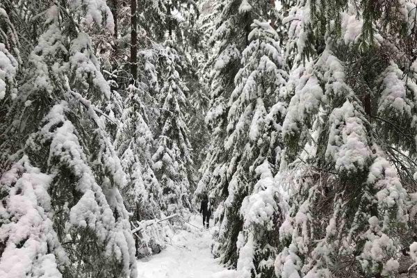 Продается дом д. Боровляны - фото 4