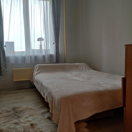 Фотография 3-комнатная квартира по адресу Космонавтов ул., д. 5 к. 1 - фото 4