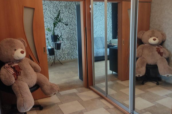 3-комнатная квартира по адресу Космонавтов ул., д. 5 к. 1 - фото 3