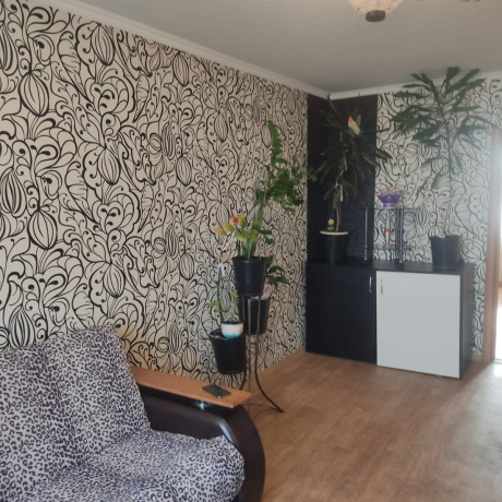 Фотография 3-комнатная квартира по адресу Космонавтов ул., д. 5 к. 1 - фото 8