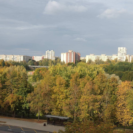 Фотография 3-комнатная квартира по адресу Космонавтов ул., д. 5 к. 1 - фото 16