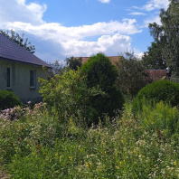 Фотография Продается участок с/т. Ивушка - фото 6