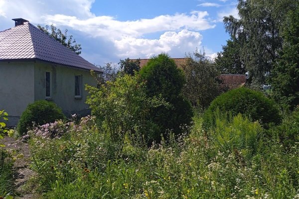 Продается участок с/т. Ивушка - фото 6