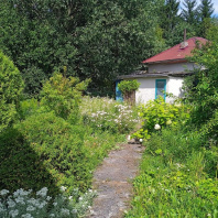 Фотография Продается участок с/т. Ивушка - фото 4