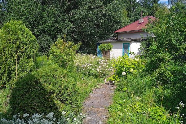 Продается участок с/т. Ивушка - фото 4