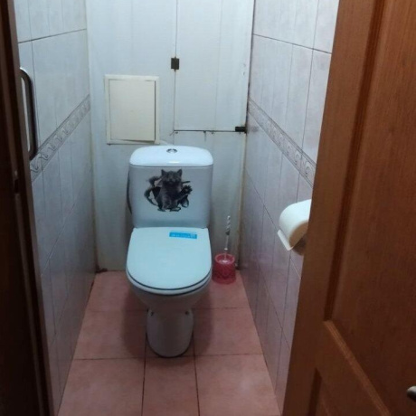 Фотография 2-комнатная квартира по адресу Молодежная ул., д. 4 - фото 10