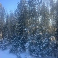 Фотография Продается коттедж д. Боровляны, Жемчужная ул. - фото 19