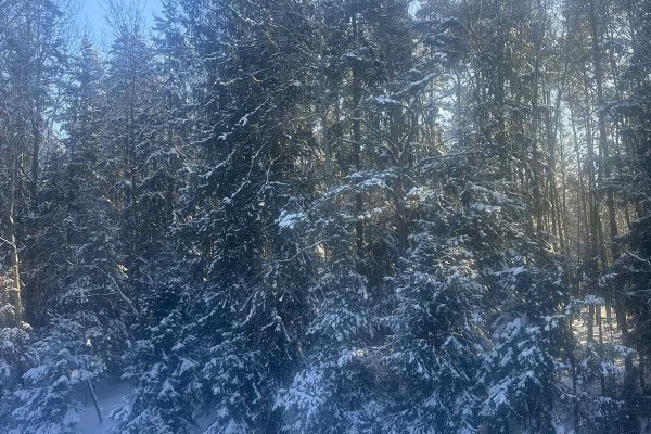 Продается коттедж д. Боровляны, Жемчужная ул. - фото 19