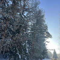 Фотография Продается коттедж д. Боровляны, Жемчужная ул. - фото 20