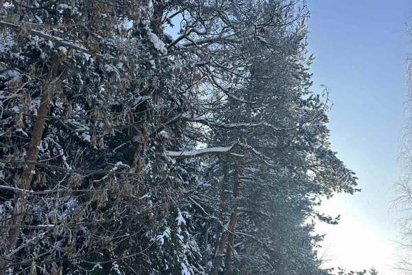 Продается коттедж д. Боровляны, Жемчужная ул. - фото 20