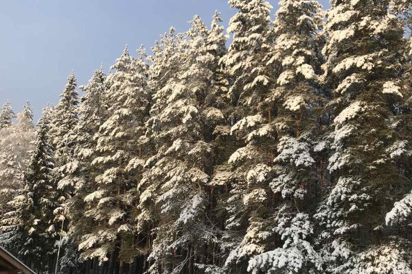 Продается дом д. Боровляны - фото 3