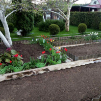 Фотография Продается дом с/т. Вежа-89 - фото 6