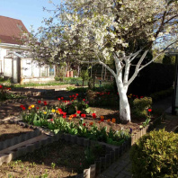 Фотография Продается дом с/т. Вежа-89 - фото 13