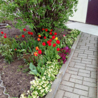 Фотография Продается дом с/т. Вежа-89 - фото 14