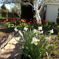 Фотография Продается дом с/т. Вежа-89 - фото 15