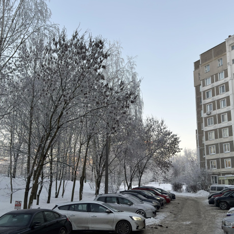 Фотография 1-комнатная квартира по адресу Слободская ул., д. 155 - фото 12