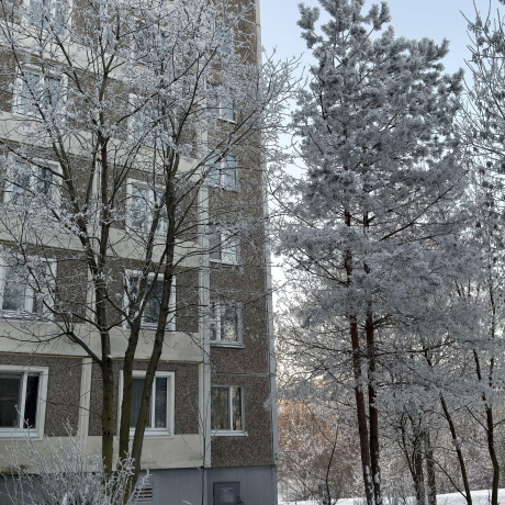 Фотография 1-комнатная квартира по адресу Слободская ул., д. 155 - фото 11