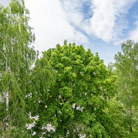 Фотография 2-комнатная квартира по адресу Прилукский 2-й пер., д. 9 - фото 5