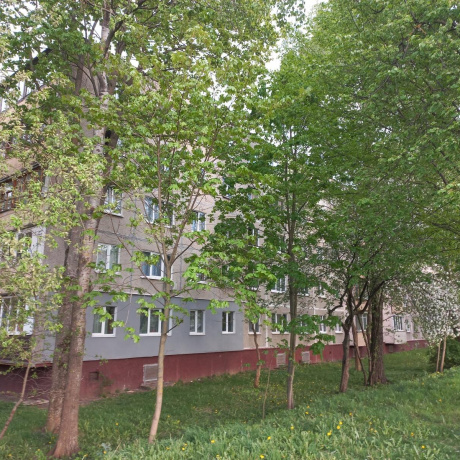 Фотография 4-комнатная квартира по адресу Уборевича ул., д. 166 - фото 16