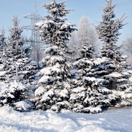 Фотография 2-комнатная квартира по адресу Якубова ул., д. 66 к. 1 - фото 6
