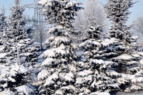 2-комнатная квартира по адресу Якубова ул., д. 66 к. 1 - фото 6