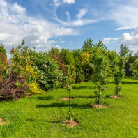 Фотография Продается коттедж д. Тарасово, Радужная ул. - фото 5
