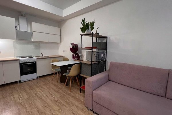 1-комнатная квартира по адресу широкая, д. 4 - фото 6