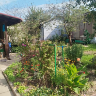 Фотография Продается дача с/т. Сосны-Сад - фото 8