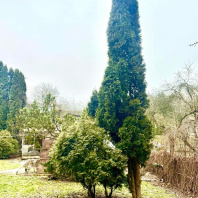 Фотография Продается дом с/т. Подгорье-2 - фото 5