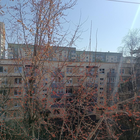 Фотография 2-комнатная квартира по адресу Кабушкина пер., д. 5 - фото 16