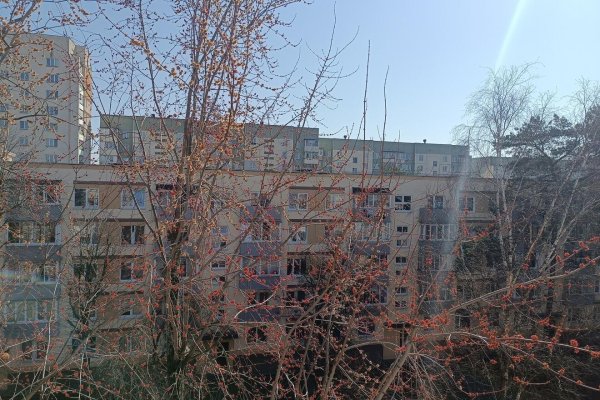 2-комнатная квартира по адресу Кабушкина пер., д. 5 - фото 16