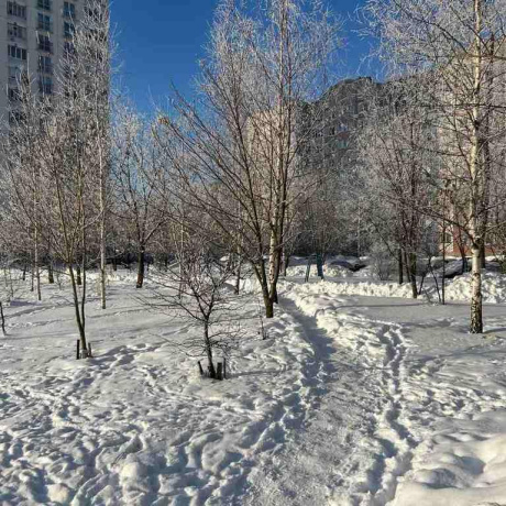 Фотография 2-комнатная квартира по адресу Бельского ул., д. 24 - фото 19