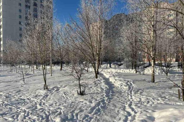 2-комнатная квартира по адресу Бельского ул., д. 24 - фото 19