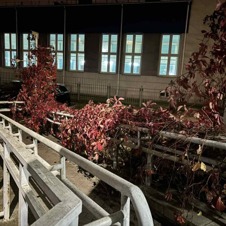 Фотография 3-комнатная квартира по адресу Щорса ул., д. 3 - фото 7