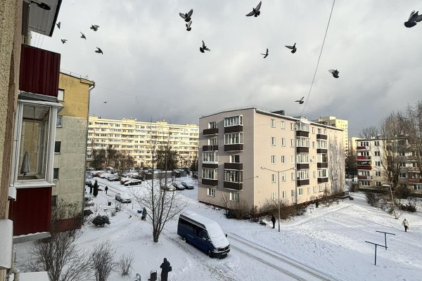 2-комнатная квартира по адресу Чкалова ул., д. 17 - фото 10