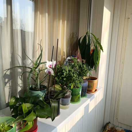 Фотография 2-комнатная квартира по адресу Заславская ул., д. 12 - фото 19